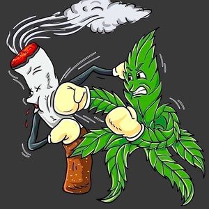 Meet your Posher, Jacquina